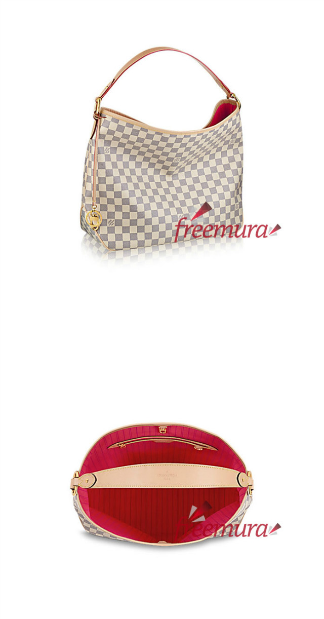路易威登-delightful-中号手袋-damier-azur-手袋--N41448_PM2_Front view-vert副本.jpg