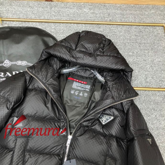 batch_3771668508429_.pic.jpg