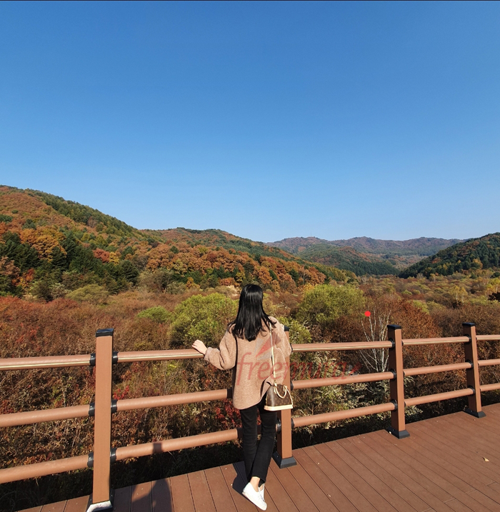 KakaoTalk_20221128_200156260副本.jpg