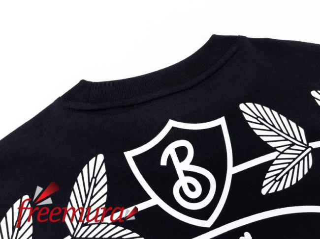 batch_52351676556301_.pic.jpg