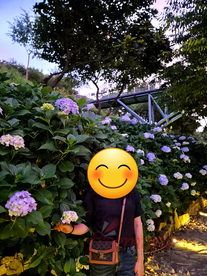 KakaoTalk_20241229_020940644_02.jpg