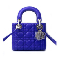 디올 마이크로 레이디 램스킨