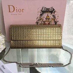 크리스찬 디올 신상 파우치백