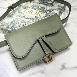 크리스찬디올 웨이스트 백 DR-190530