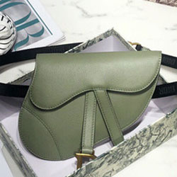 크리스찬디올 벨트 팩 S5632