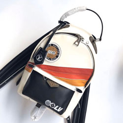 루이비통 팜 스프링스 PM M55797