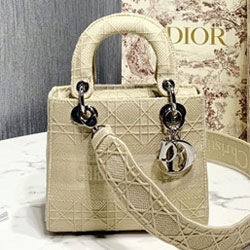 크리스찬디올 토드백  20cm DR-200303
