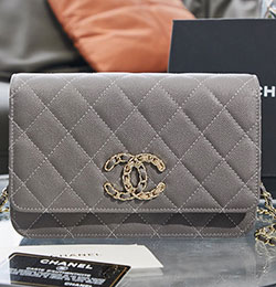 샤넬 체인 WOC플랩 백 19cm AP1794