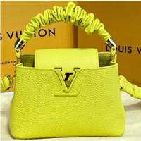 루이비통 카푸신 PM M58586