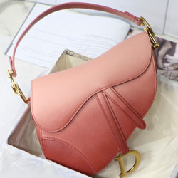 크리스찬디올 SADDLE 백 M9091
