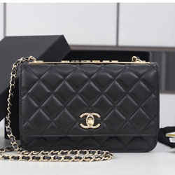 샤넬 WOC백 19cm AS0982