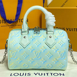 루이비통 빠삐용 XS M81508