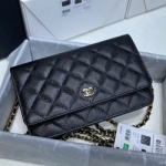 [스페셜] 샤넬 플랩WOC백 19cm AS3814