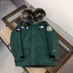 THE NORTH FACE  T-738