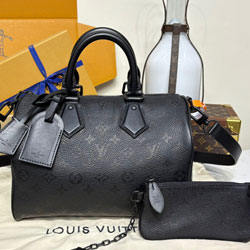 루이비통 Speedy P9 반둘리에 30 M13904